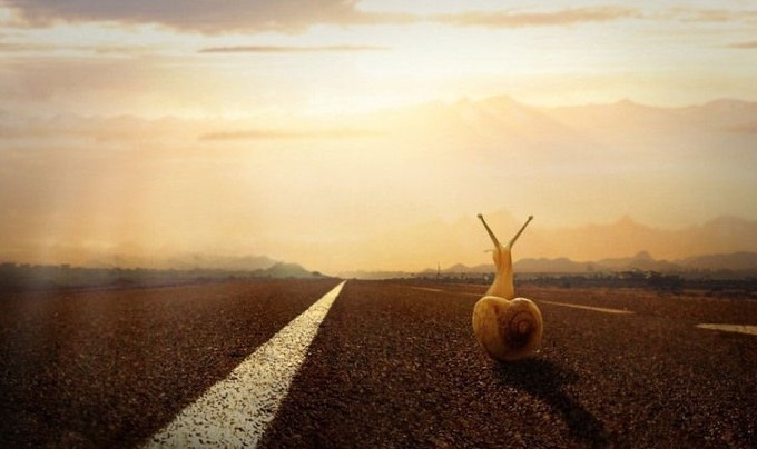 创业的疑难杂症(管理新思维) 创业的疑难杂症(管理新思维)